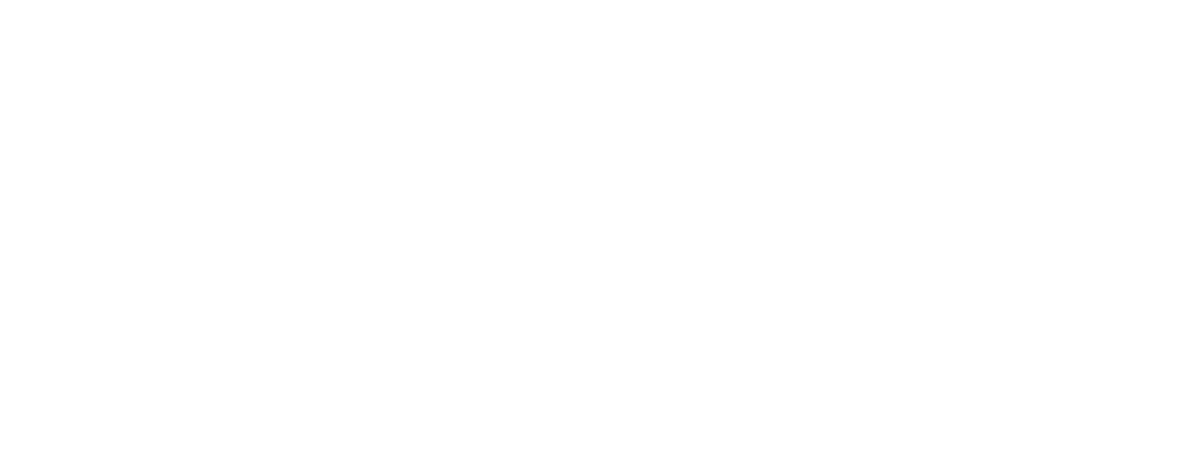 Volt